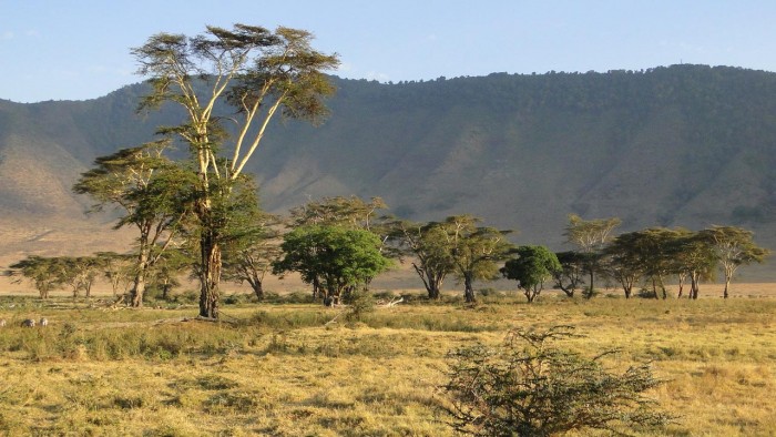 科学家意外发现非洲“气候跷跷板” 重新评估人类进化的现有气候框架