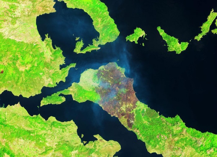 希腊致命大火仍在蔓延 今年烧毁森林面积已经超过11万公顷