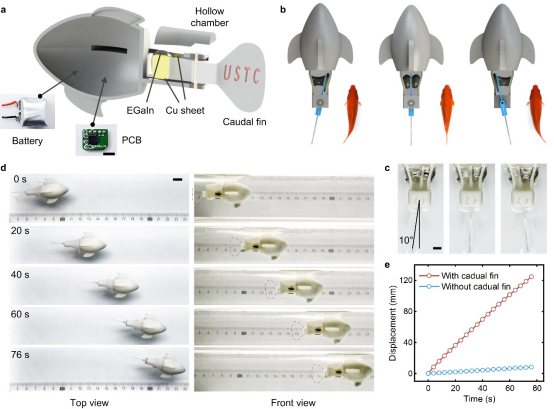 液态金属人工肌肉驱动的机器鱼游了40分钟