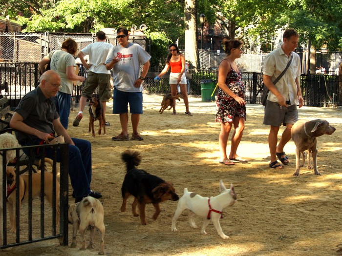 研究：犬类寄生虫已经进化出对几乎所有药物产生抗药性