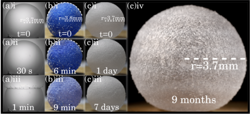 坚韧的“气体弹珠”泡泡可存活超一年时间
