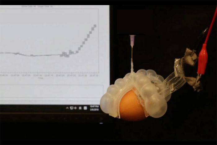 科学家开发可拉伸的柔性温度计 可在软体机器人中找到用途