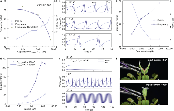 科学家创造能与自然生物系统整合的人工神经元 并成功控制活体植物