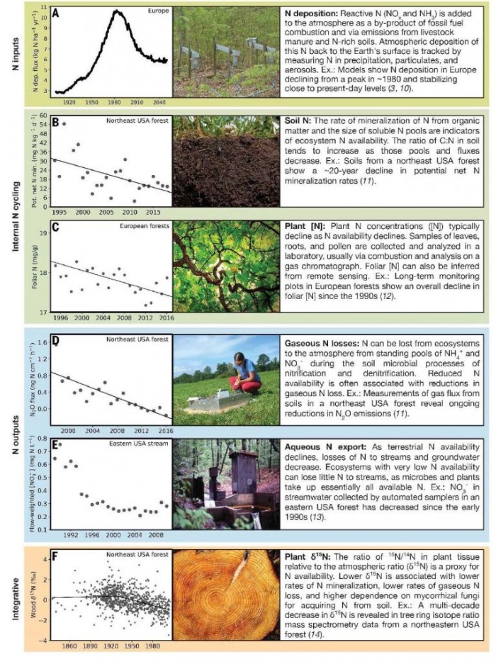 研究称全球氮供应量下降对许多自然生态系统产生影响