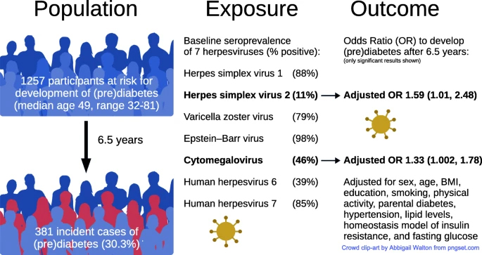 新研究发现糖尿病风险与疱疹病毒感染之间的联系