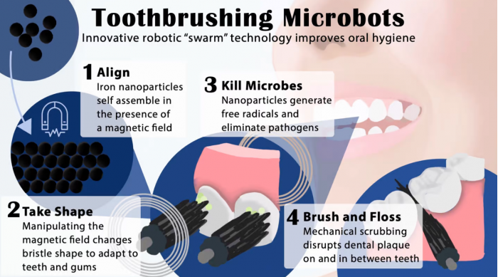 新的牙齿清洁系统使用变形的微型机器人形成刷毛或牙线 并杀死细菌
