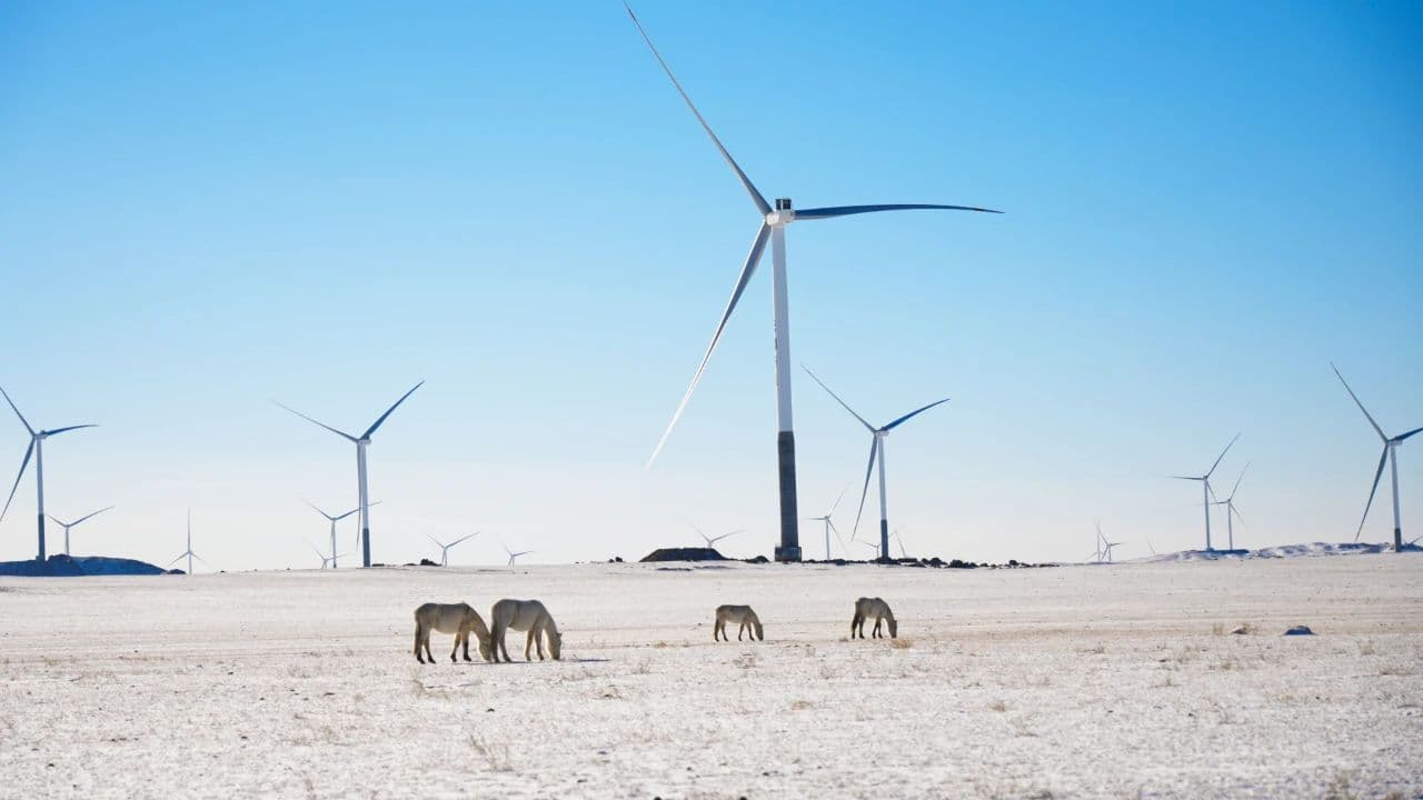 中国风电第一大省，将种下更大的风车