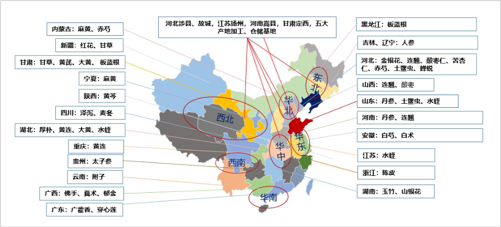 以岭药业“中药现代化”之路：助力乡村振兴，塑造中药材种养殖现代化“楷模”——对话以岭药业供应中心中药